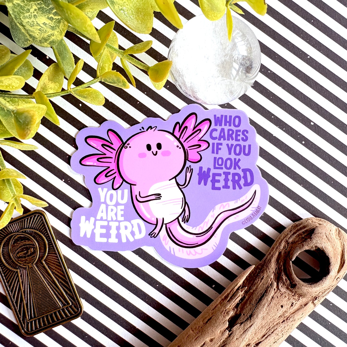 Axolotl Sticker - You Look Weird